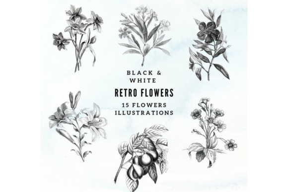 Download Vintage Botanical Illustrations - Botanical Collection