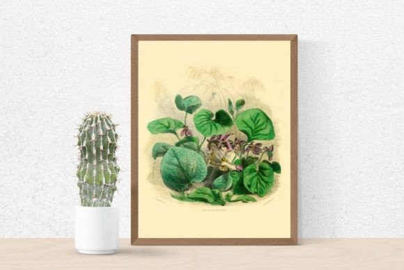 Download Violet Flowers Illustration, Violet - Premium Resources