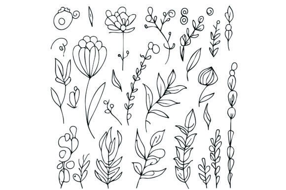 Download Simple Botanical Flower Drawings - Botanical Collection
