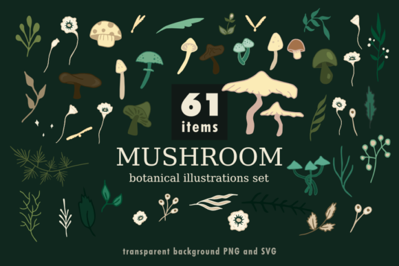 Download Mushroom Botanical Illustrations Set. - Botanical Collection