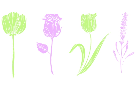 Download Plant Flower Leaf Botanical Design - Botanical Collection
