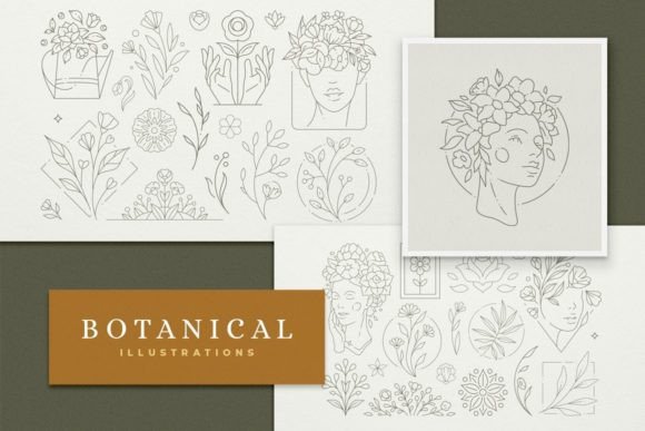 Download Line Art Botanical Illustrations Set - Botanical Collection