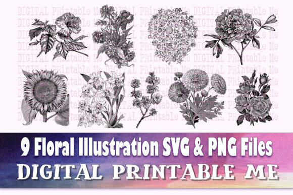 Download Floral Illustration Flower Drawing - Illustration Collection