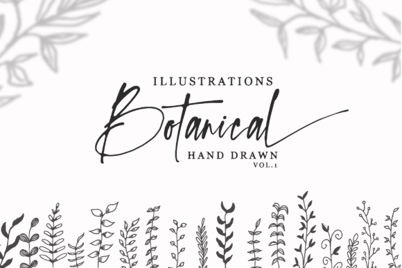 Download Hand Drawn Botanical Illustrations Vol.1 - Botanical Collection