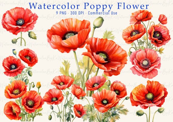 Download Red Poppy Watercolor Clipart PNG Bundle - Poppy watercolor Collection