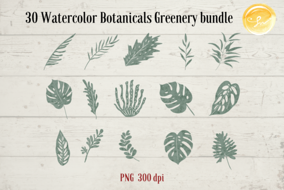 Download 30 Watercolor Botanicals Greenery Bundle - Botanical Collection