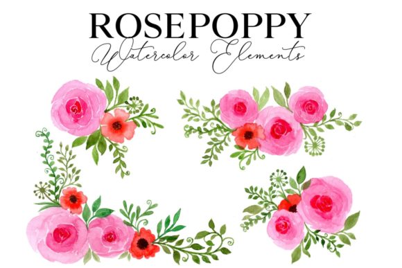 Download Rose Poppy Watercolor Elements - Poppy watercolor Collection