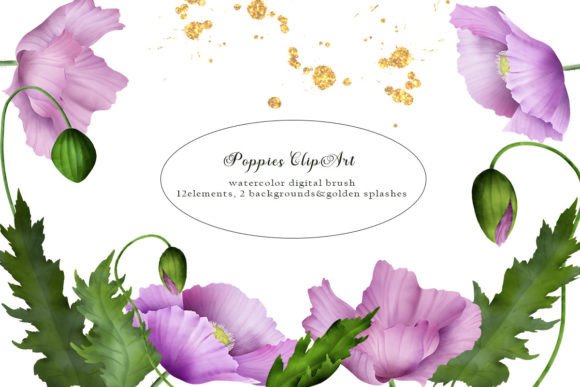 Download Poppy Watercolor Clipart, PNG - Premium Bundle