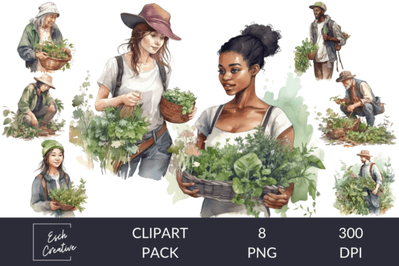 Download Herbalist Foraging Botanicals Watercolor - Botanical Collection