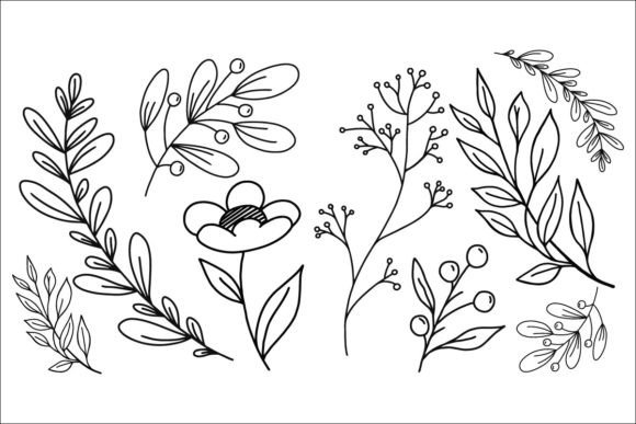 Download 6 Botanical Illustrations - Botanical Collection