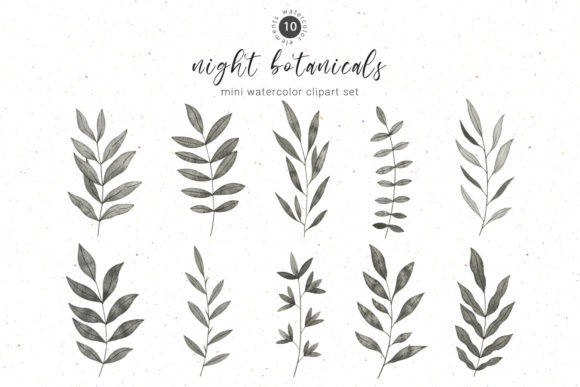 Download Black Botanical Watercolor Clipart - Botanical Collection
