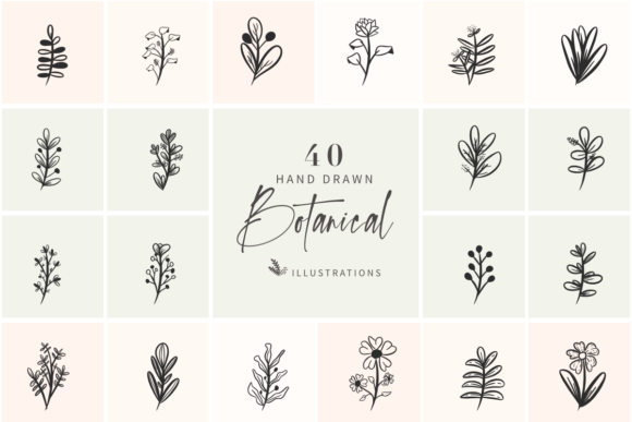Download 40 Hand Drawn Botanical Illustrations - Botanical Collection