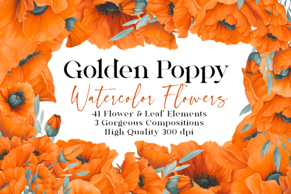 Download Golden Poppy Watercolor Floral Clipart - Premium Resources