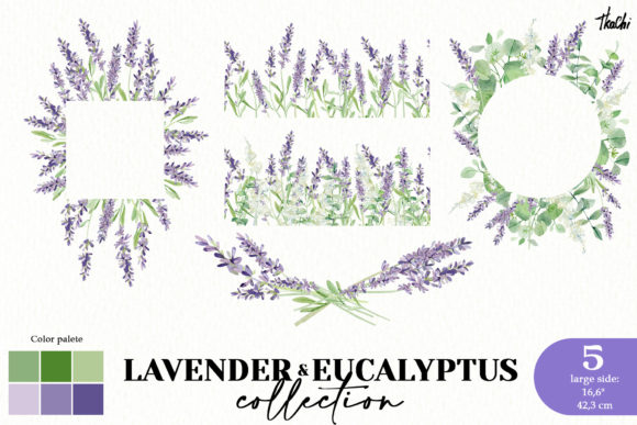Download Watercolor Lavender and Eucalyptus Png - Watercolor lavender Collection