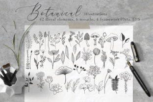 Download Floral Botanical Illustrations - Botanical Collection