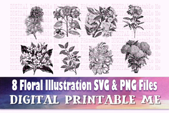 Download Floral Illustration Flower Drawing - Illustration Collection