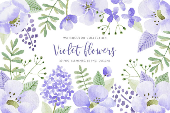 Download Violet Flowers - Violet flowers Collection