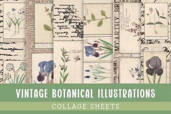 Download Vintage Botanical Illustrations - Botanical Collection