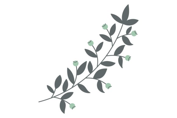 Download Botanical Design Element. Floral Elegant - Botanical Collection