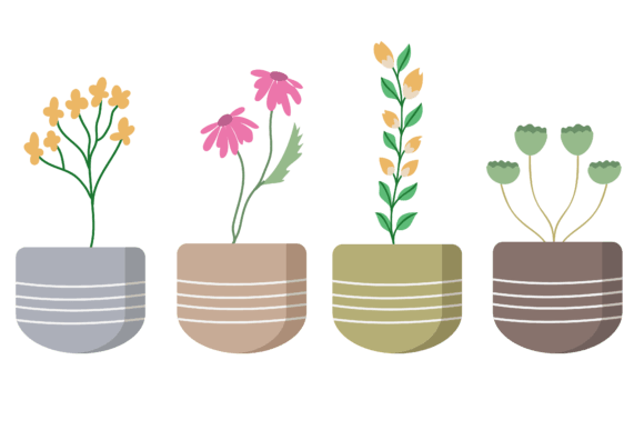 Download Set Plant Botanical Design - Botanical Collection