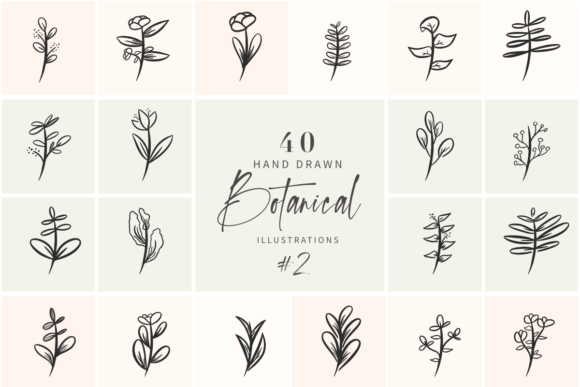 Download Hand Drawn Botanical Illustrations Vol 2 - Botanical Collection