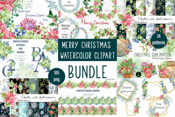 Download Christmas Set, Botanical Illustrations, - Botanical Collection