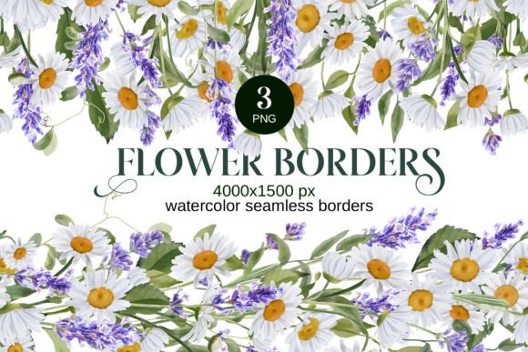 Download Watercolor Daisies, Lavender Borders PNG - Premium Resources