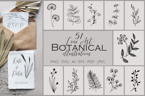 Download 51 Line Art Botanical Illustrations Bundle - Botanical Collection
