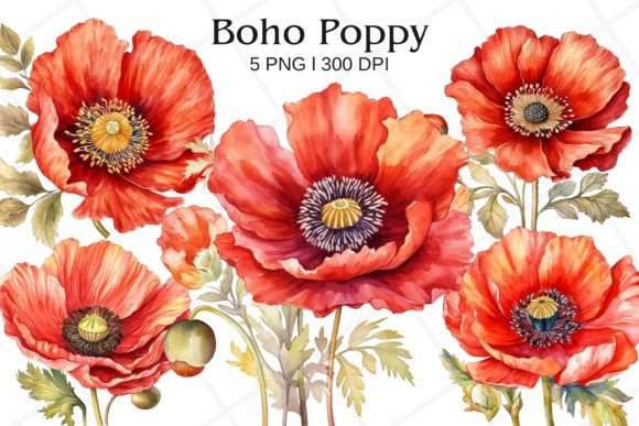 Download Boho Poppy Watercolor Clipart - Premium Resources