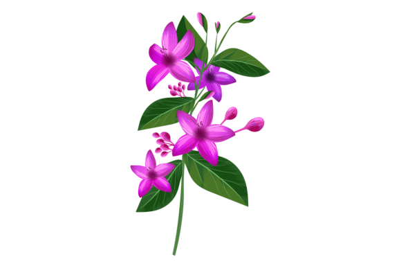 Download Violet Flowers from Tropical Jungle Plan - Premium Resources