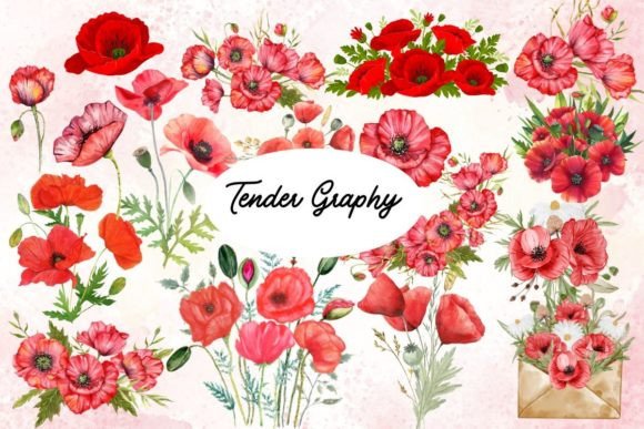 Download Red Poppy Watercolor SVG Bundle 30 Files - Premium Resources