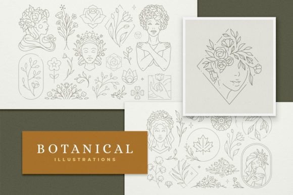 Download Line Art Botanical Illustrations Set - Botanical Collection