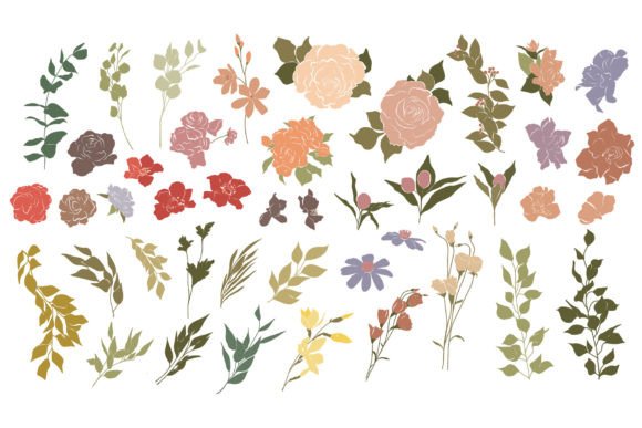 Download Botanical Illustrations Set - Botanical Collection