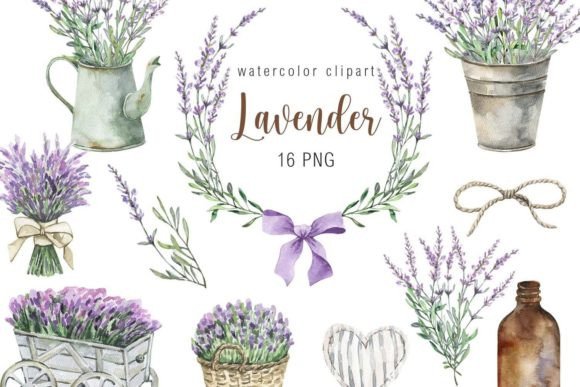 Download Watercolor Lavender Clipart - Watercolor lavender Collection