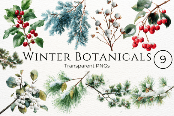 Download Winter Botanicals Watercolor Clipart - Botanical Collection