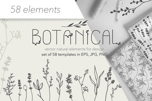 Download Botanical Illustrations Collection - Botanical Collection